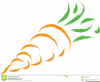 Carrot Clipart Image
