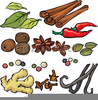 Free Spice Clipart Image