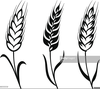 Free Black And White Wheat Clipart Image