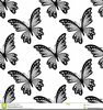 Black And White Clipart Of Butterflies Image