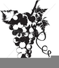 Clipart Grapes And Vines Image