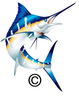 Blue Marlin Clipart For Free Image