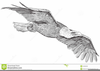 Eagle With Pencil Clipart Image