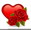 Valentine Rose Clipart Free Image