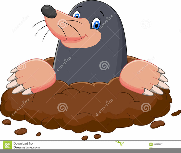 Mole Clipart Free | Free Images at Clker.com - vector clip art online