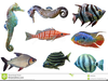 Free Betta Fish Clipart Image