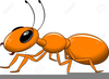 Clipart Grasshopper And The Ant Image