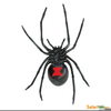 Halloween Black Widow Clipart Image