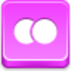 Flickr Icon Image