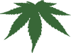 Cannabis Leaf Clip Art