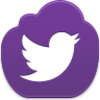 Twitter Bird Icon Image