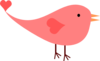 Pink Female Love Bird  Image