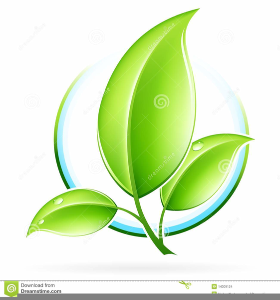 Green leaf icon simple style Royalty Free Vector Image