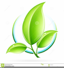 Clipart Green Leaf Logo Icon Image