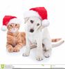Free Group Of Pets Clipart Image