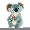 Teddy Koala Anime Image