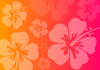 Flower Pink Orange Image