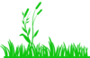 Green Grass With Reeds Clip Art