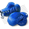 Boxing Gloves Blue 6 Image