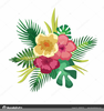 Clipart Flower Tropical Image