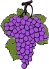 Grape Cluster Clip Art