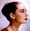 Audrey Hepburn Profile Image