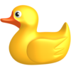 Duckling Image