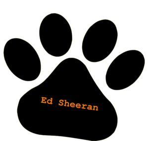 Black Pet Paw / Ed Sheeran Orange Text Clip Art at Clker.com - vector clip  art online, royalty free & public domain