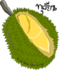 Durian Fruit Clip Art