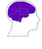 Head And Brain Outline2 Clip Art