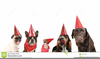 Dog Party Hat Clipart Image
