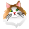 Cat Image
