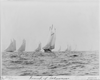 [sailboats Sailing]: Group Of Schooners Image
