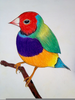 Colorful Bird Drawings Image