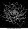 Lotus Flower Black And White Clipart Image