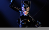 Annette Bening Catwoman Image