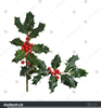 Christmas Holly Clipart Free Borders Image