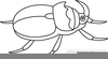 Beetle Clipart Black And White Image