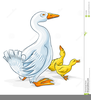 Free Clipart Geese Image