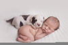 Newborn Baby Puppies Image