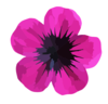 Pink Flower To Vector Clip Art at Clker.com - vector clip art online