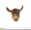 Pygmy Goat Clipart Image