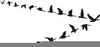 Clipart Of Geese Flying In Formation Image