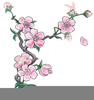 Chinese New Year Cherry Blossom Clipart Image