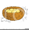 Free Clipart Nest With Eggs Image