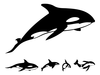 Animated Killer Whale Clipart Image