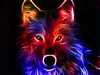 Wolf Image