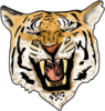Airbrush Tiger Image