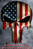 Red Punisher Skull Image