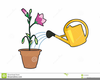 Funny Cliparts Flower Cartoon Image